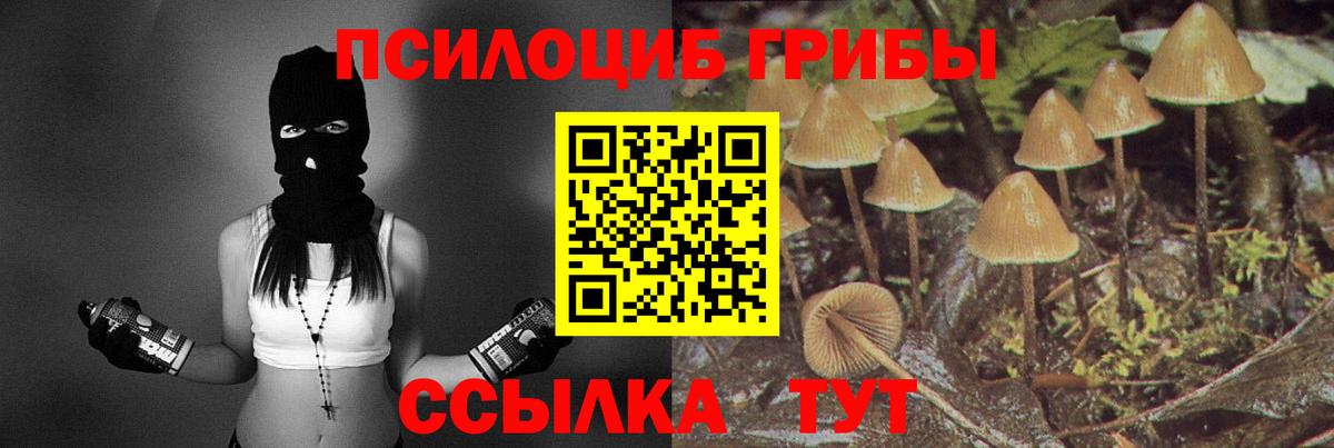 Псков  Псилоцибиновые грибы мицелий  Галлюциногенные грибы прущие грибы  Вход с VPN 